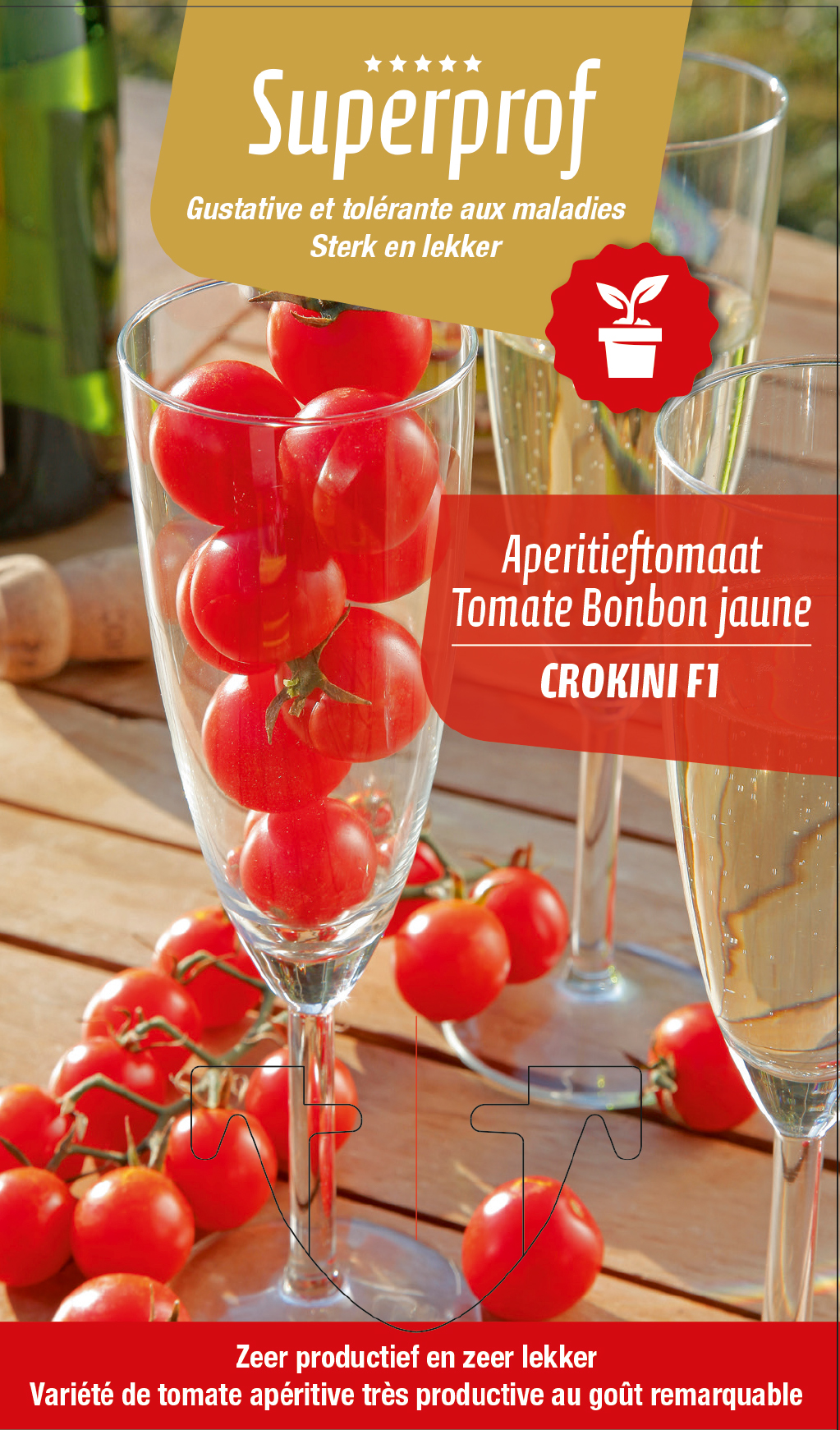 Aperitieftomaat Crokini (tray 8 pot)