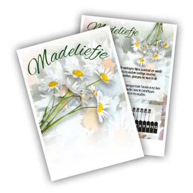 500 sachets semences BIO  Fleurs de Tournesols  (7 Ã  10 cm) 