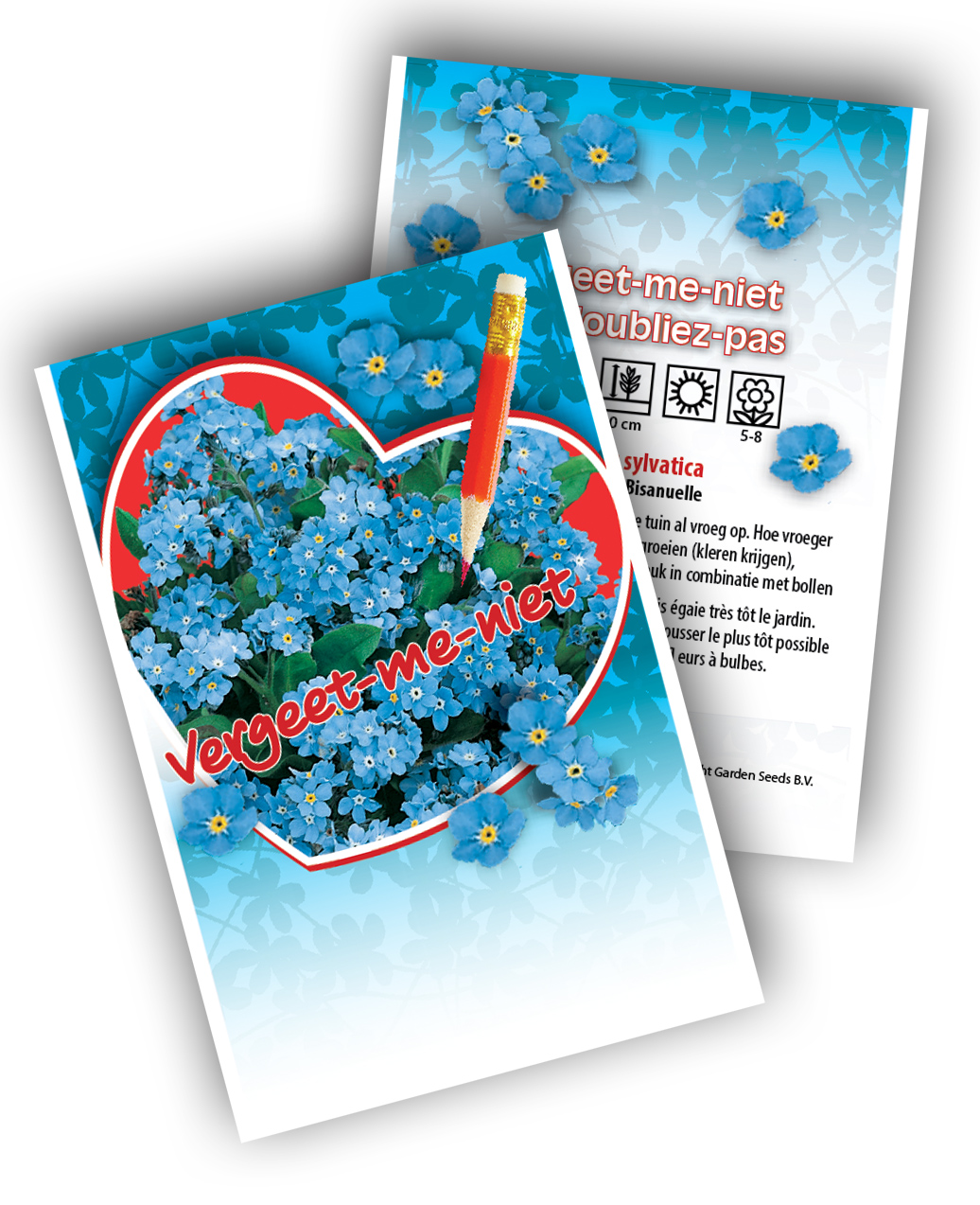 500 sachets semences  Myosotis (7 Ã  10 cm) 