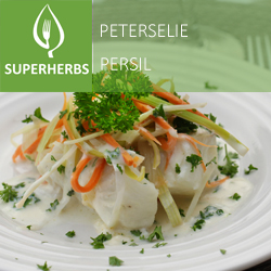 Peterselie (tray 6 pot 14)