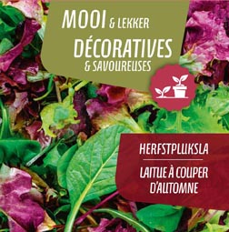 Herfstpluksla (tray 6 pot 14)