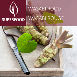 Wasabi - rouge  (tray 6 pot 14)