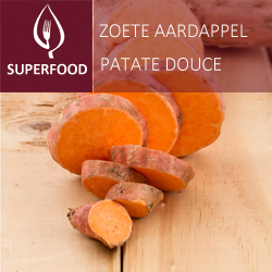 Patate douce (tray 6 pot 14)