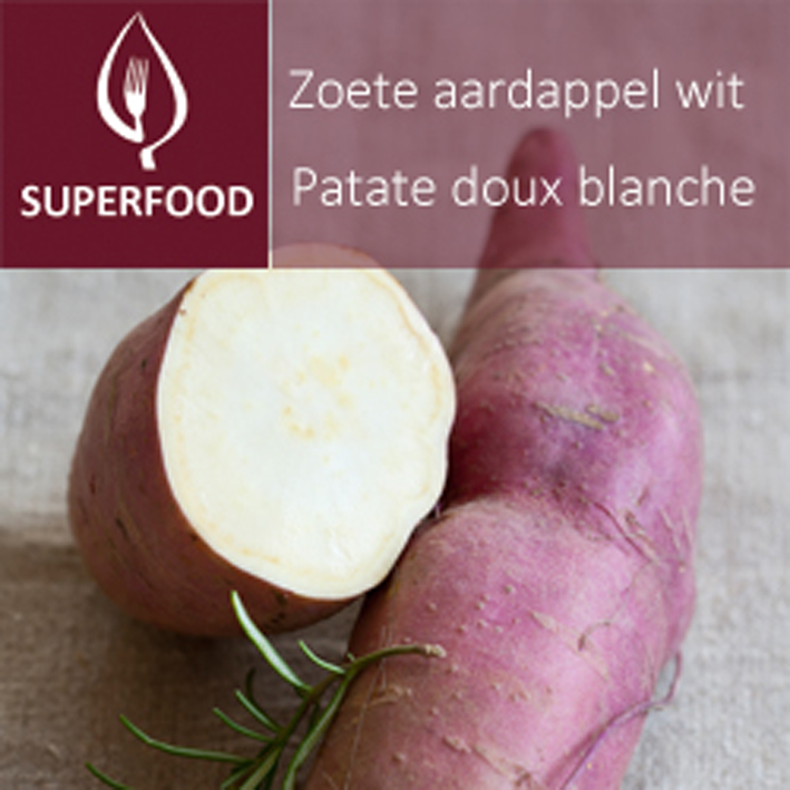 Zoete aardappel Wit (tray 6 pot 14)