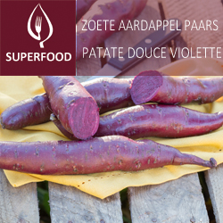 Zoete aardappel Paars (tray 6 pot 14)