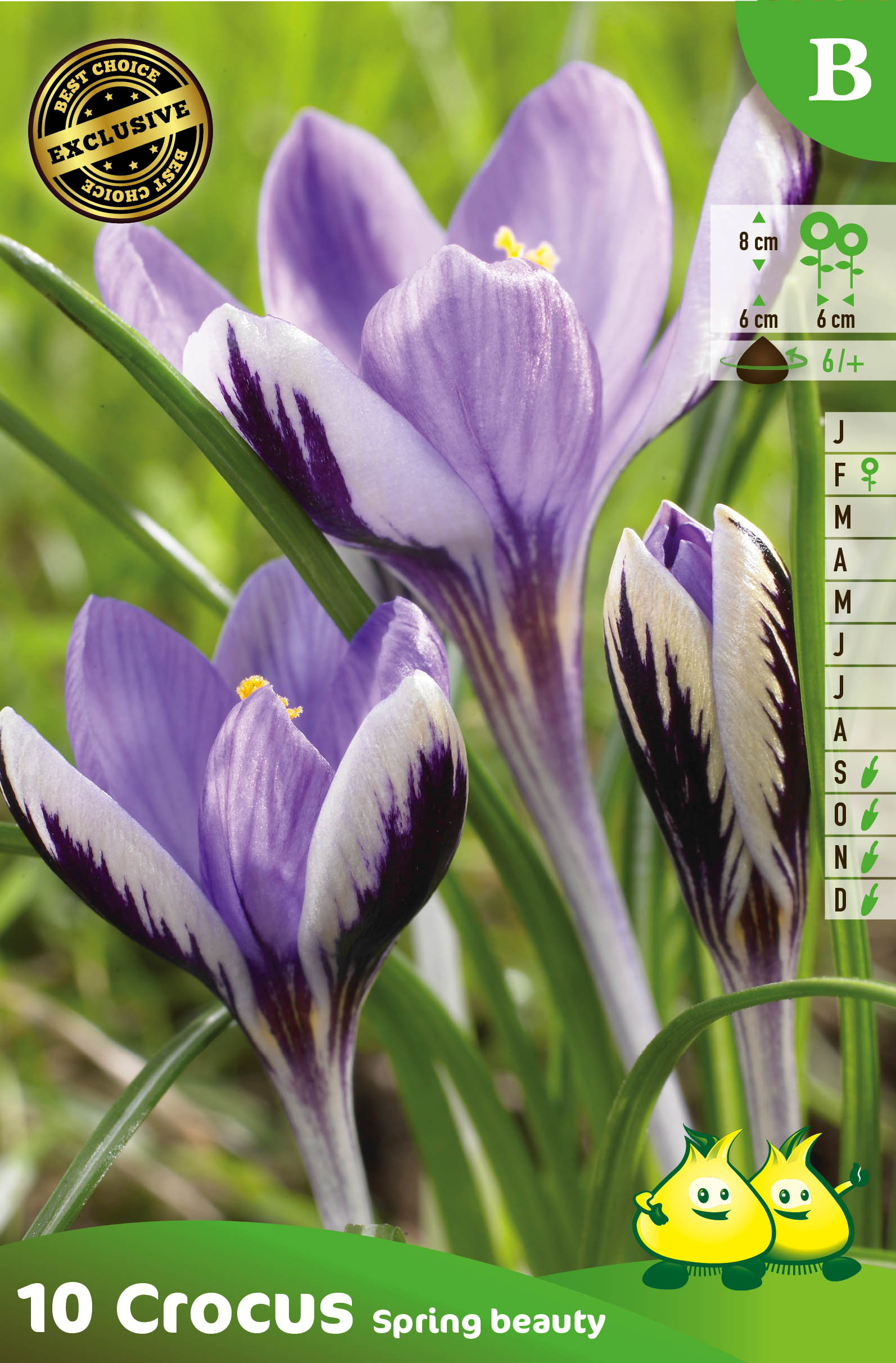 ZAKJES BOTANISCHE CROCUSSEN SPRING BEAUTY B