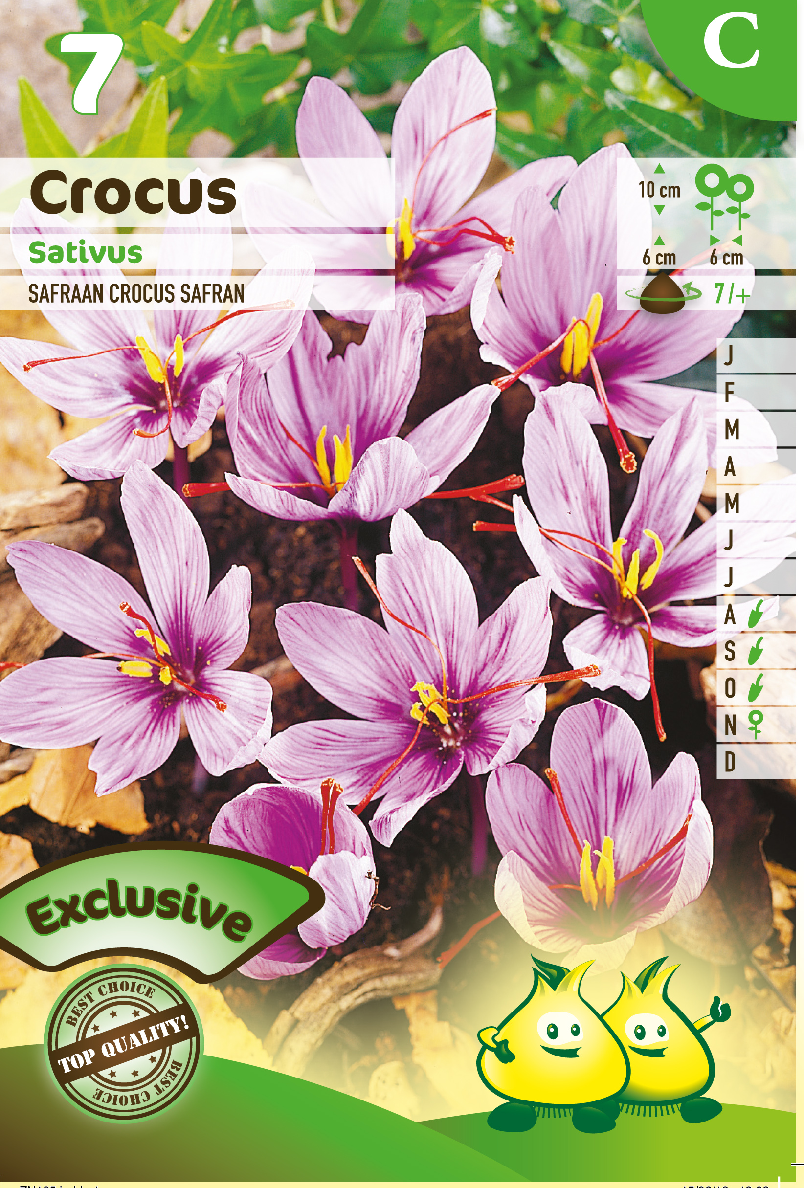 SACHET CROCUS SATIVUS  C