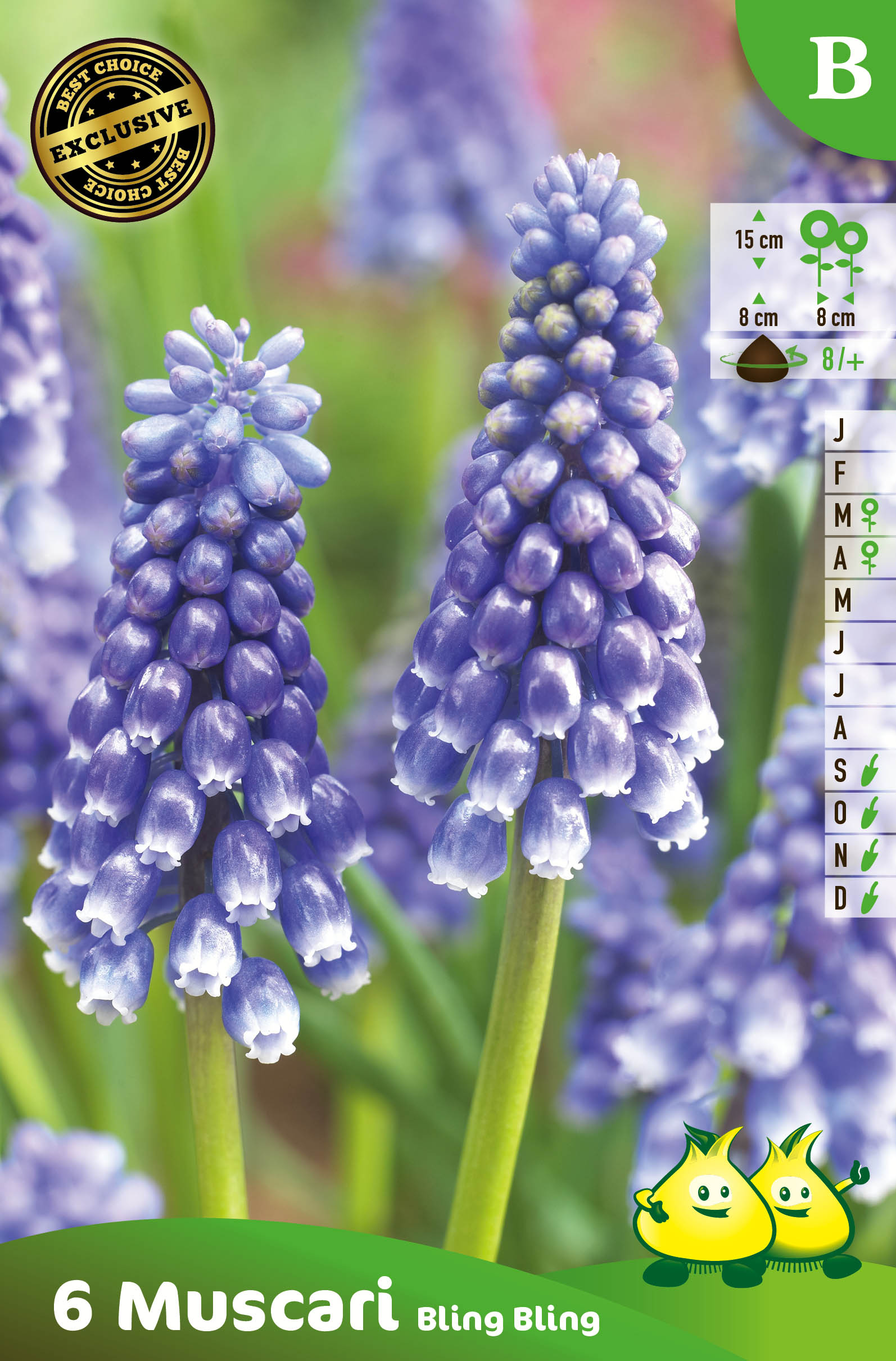 ZAKJES MUSCARI BLING BLING B