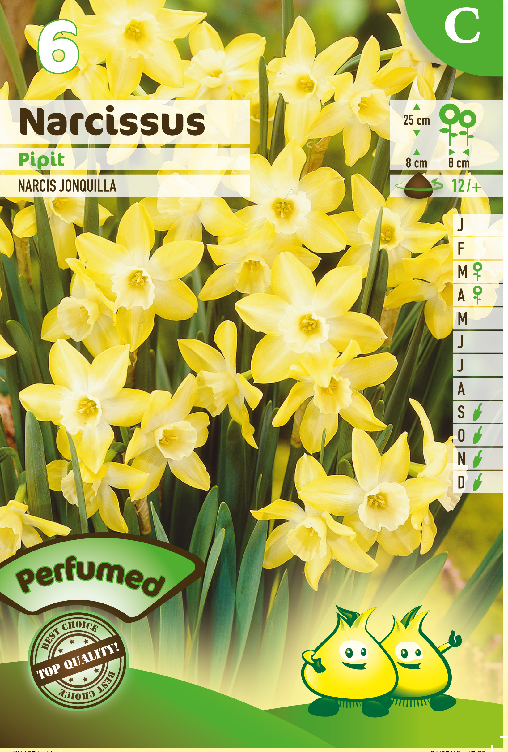 SACHET BOTANIQUE NARCIS  PIPIT C