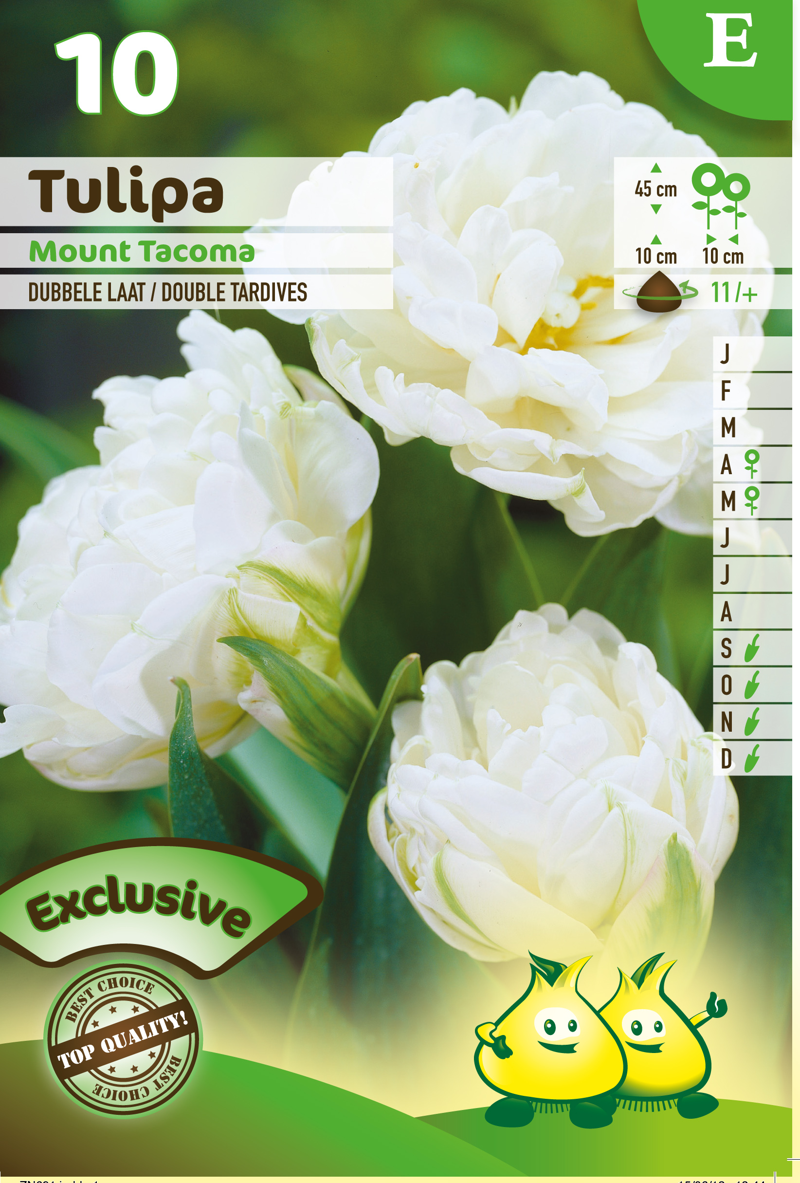 ZAKJES DUBBELE TULPEN MOUNT TACOMA E