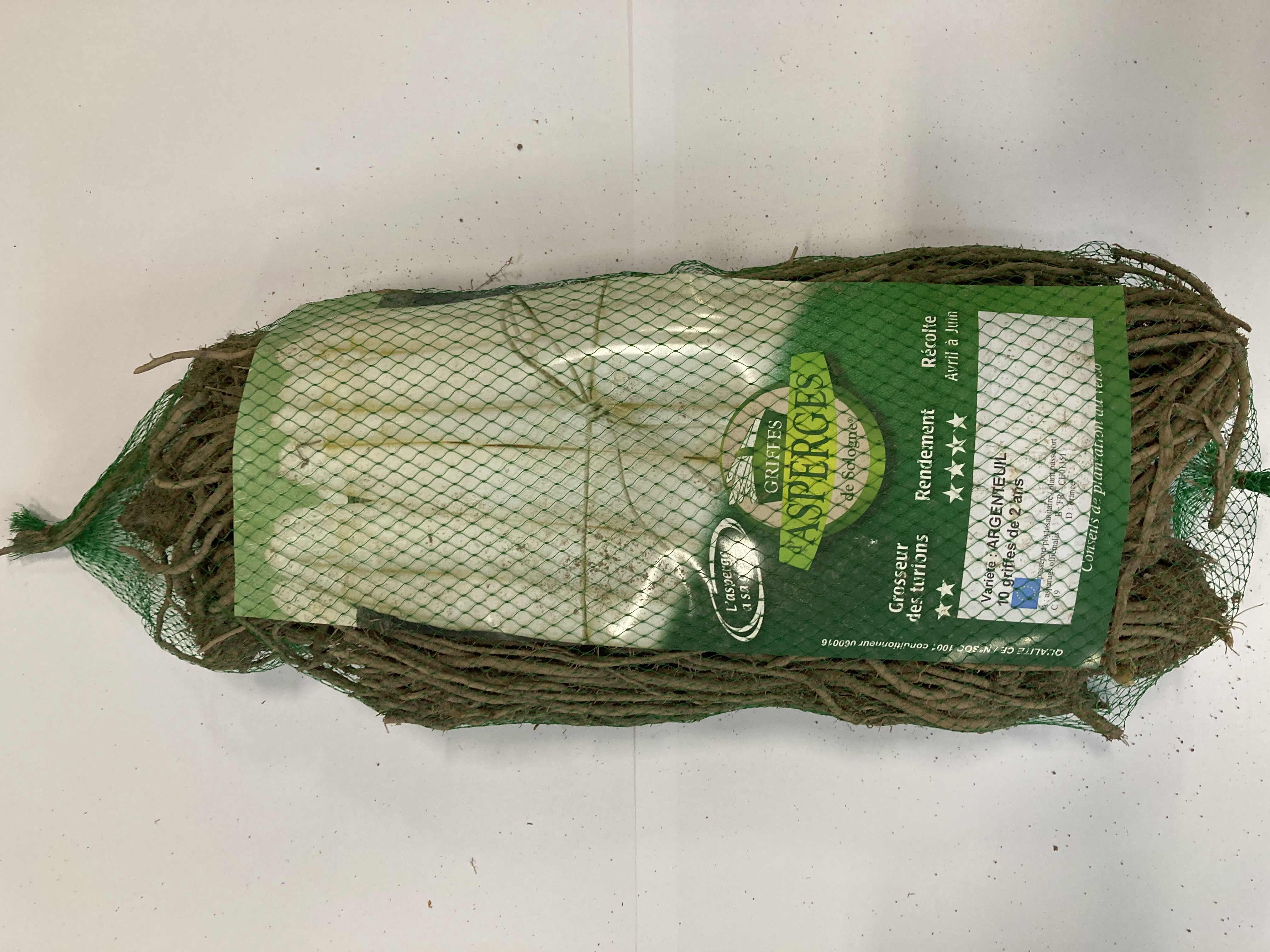 ASPERGE PRIMA 10 stuks