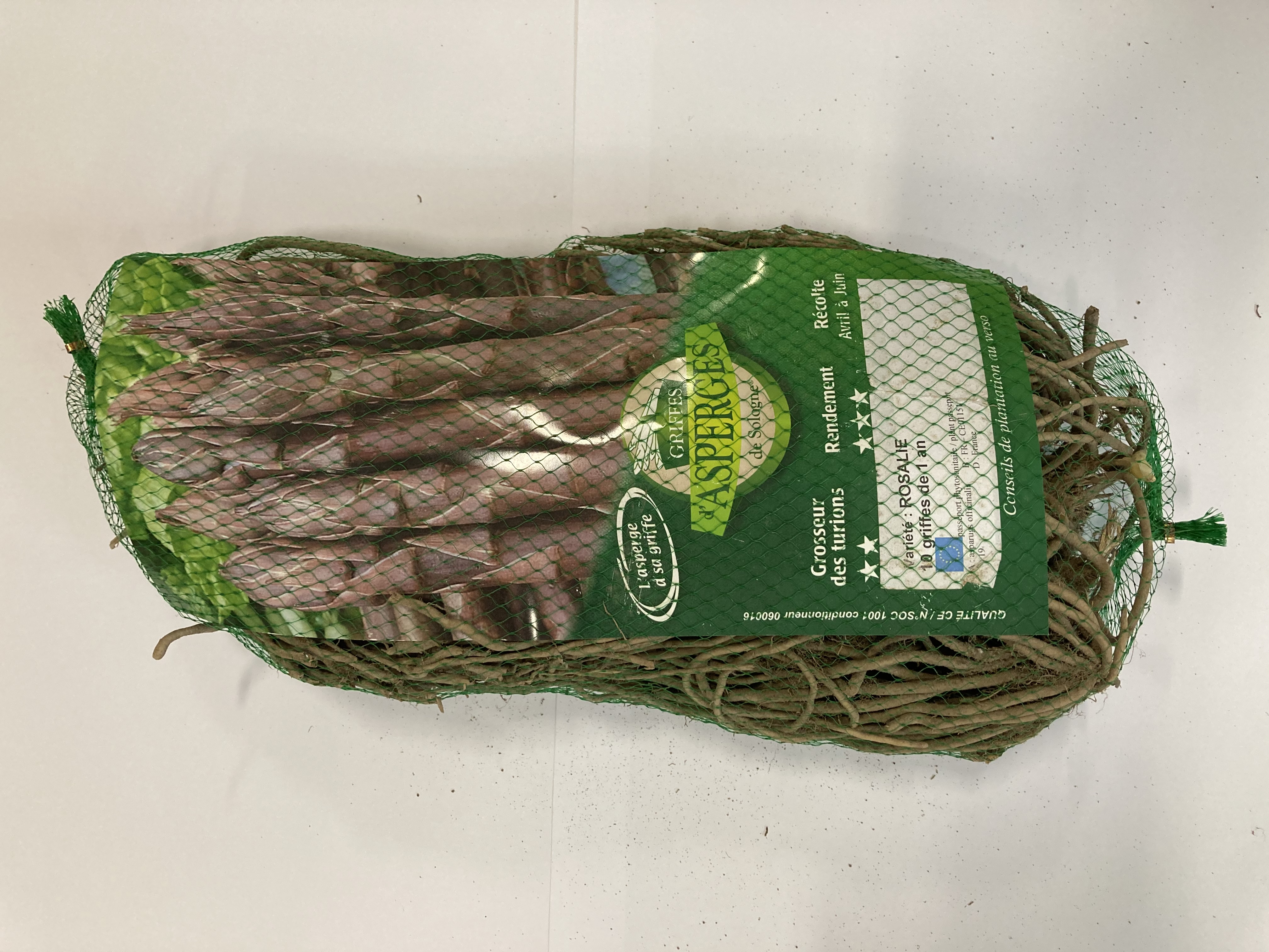 ASPERGE ROSALIE - MAUVE 10 griffes