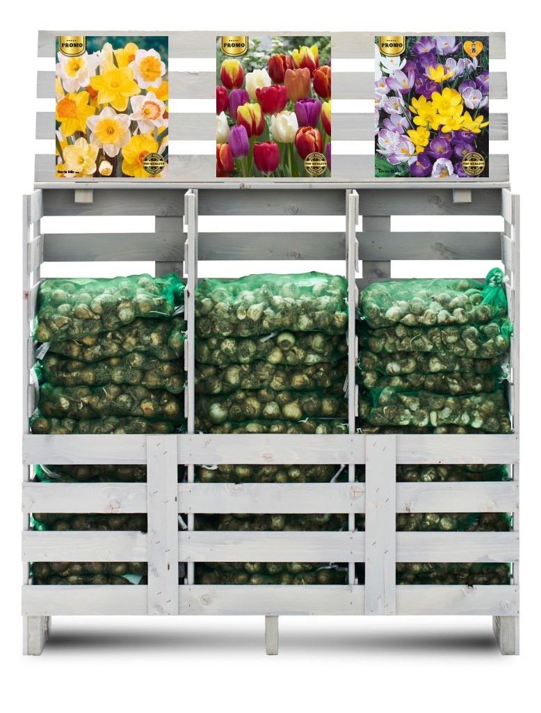 BOXPALLET NARCIS + TULIPA + CROCUS MIX