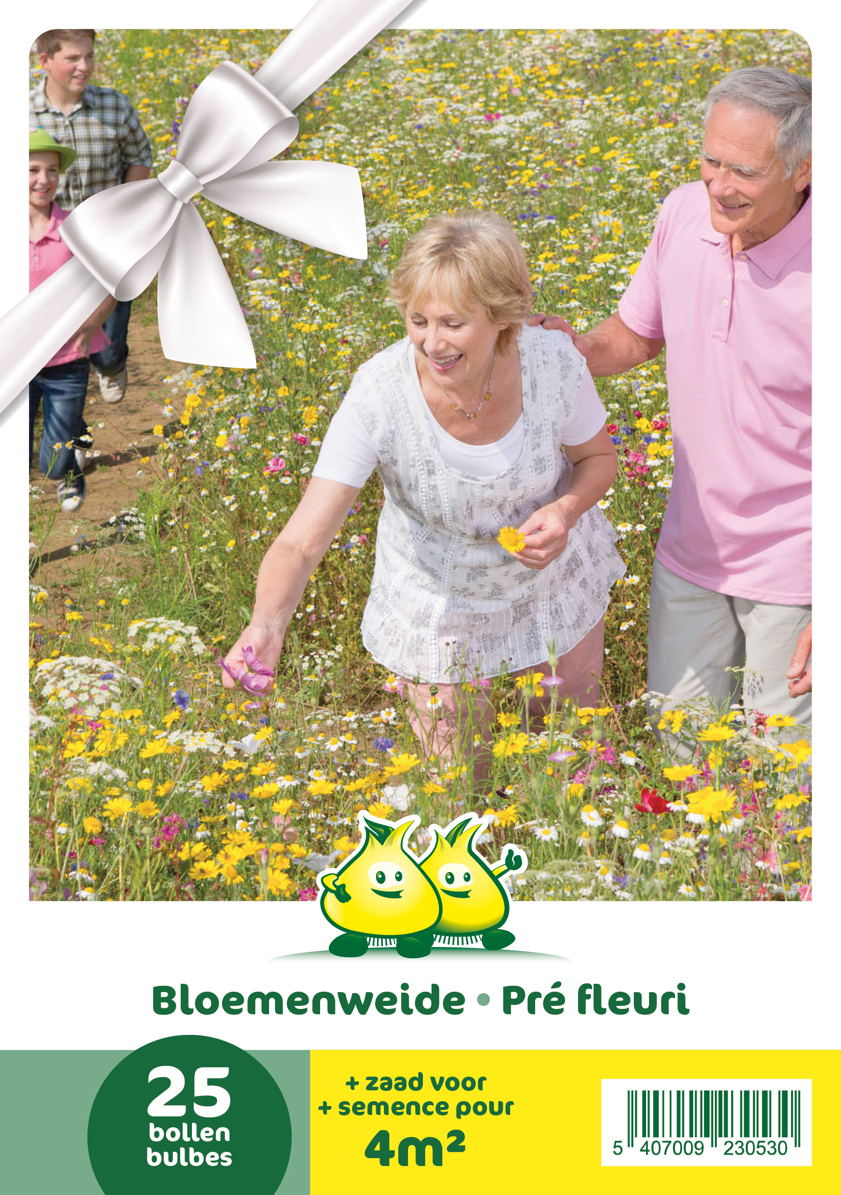 OMDOOS 15 VERPAKKINGEN BLOEMENWEIDE