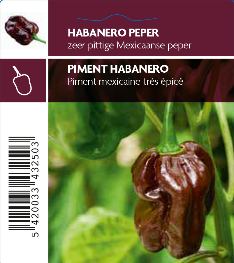 Peper Habanaero Hot Chocolat (tray 12 pot)
