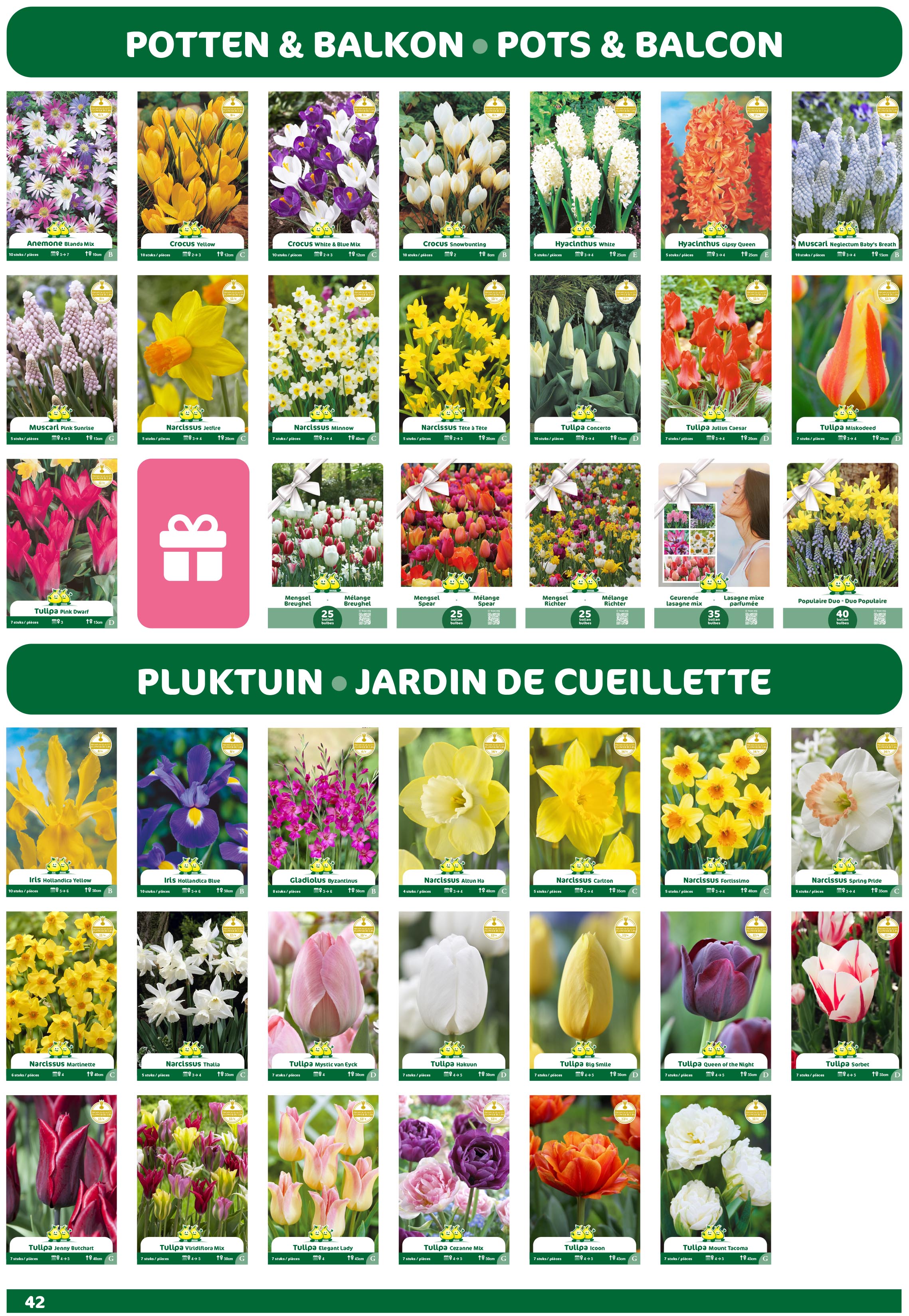 VULLING Instagram Bloembollen eiland 65 * 5 zakjes + 45 kraft draagtasjes 