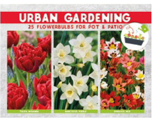 12 DOOSJES URBAN GARDEN RED