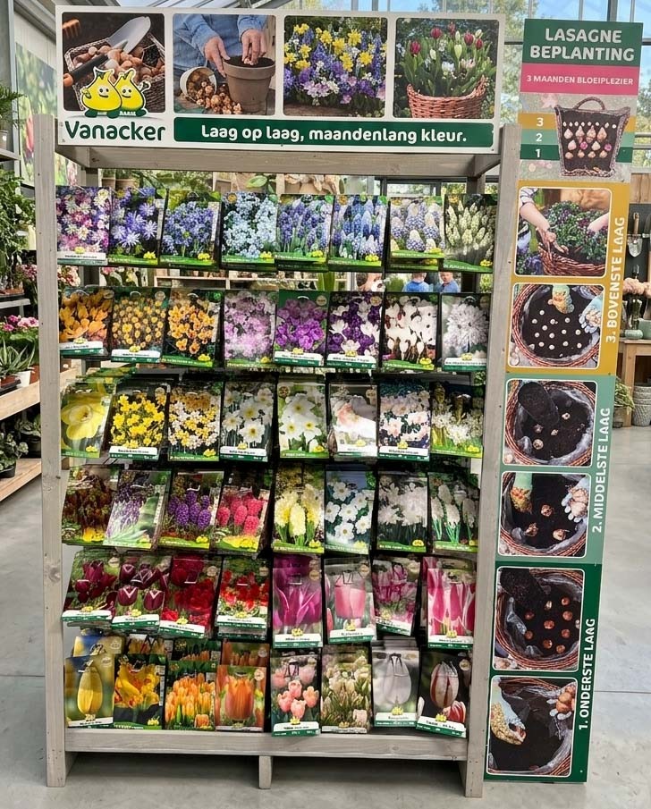 RAYON Lasagne bulbes de fleurs  48*5 sachets