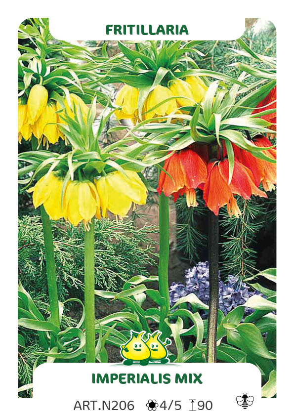 Fritillaria Keizerkroon Mix