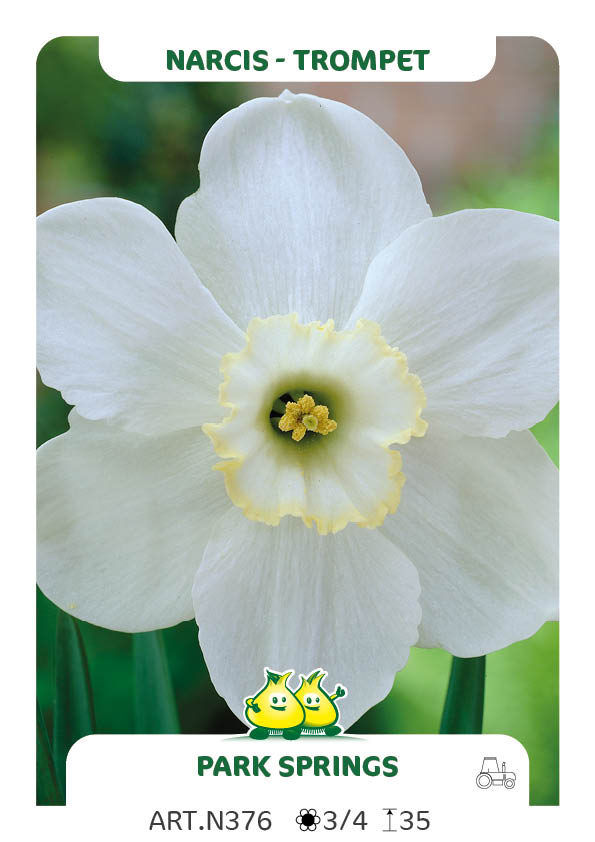Narcis Park Springs