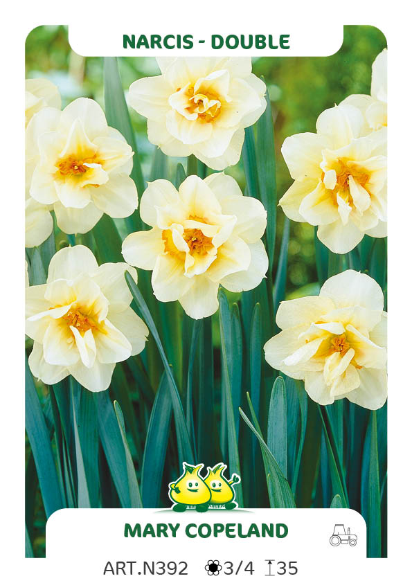 Narcis Mary Copeland