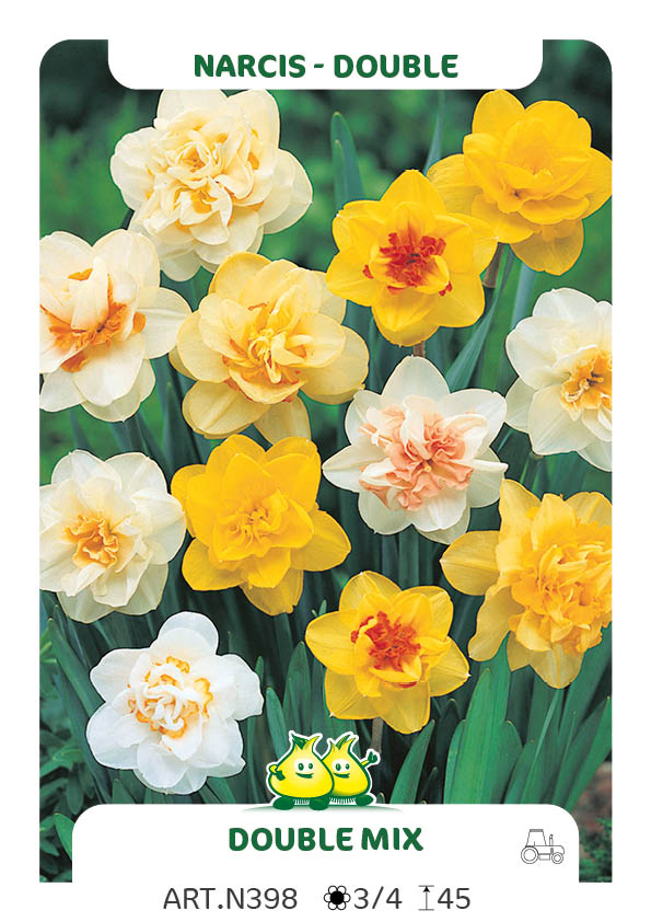 Narcis Dubbel Mix (per veelvouden van 100 stuks)