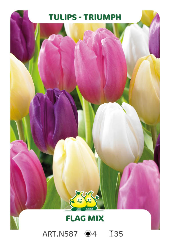 Tulpen Flag Mix ( per veelvouden van 100 stuks)