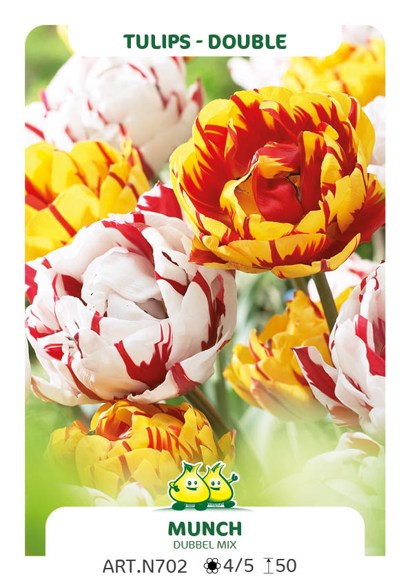 Tulp Dubbel Mix Carnaval De Nice - Golden Nizza (per veelvouden van 100 stuks)