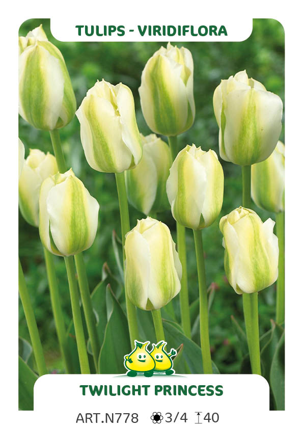 Tulp Twilight Princess