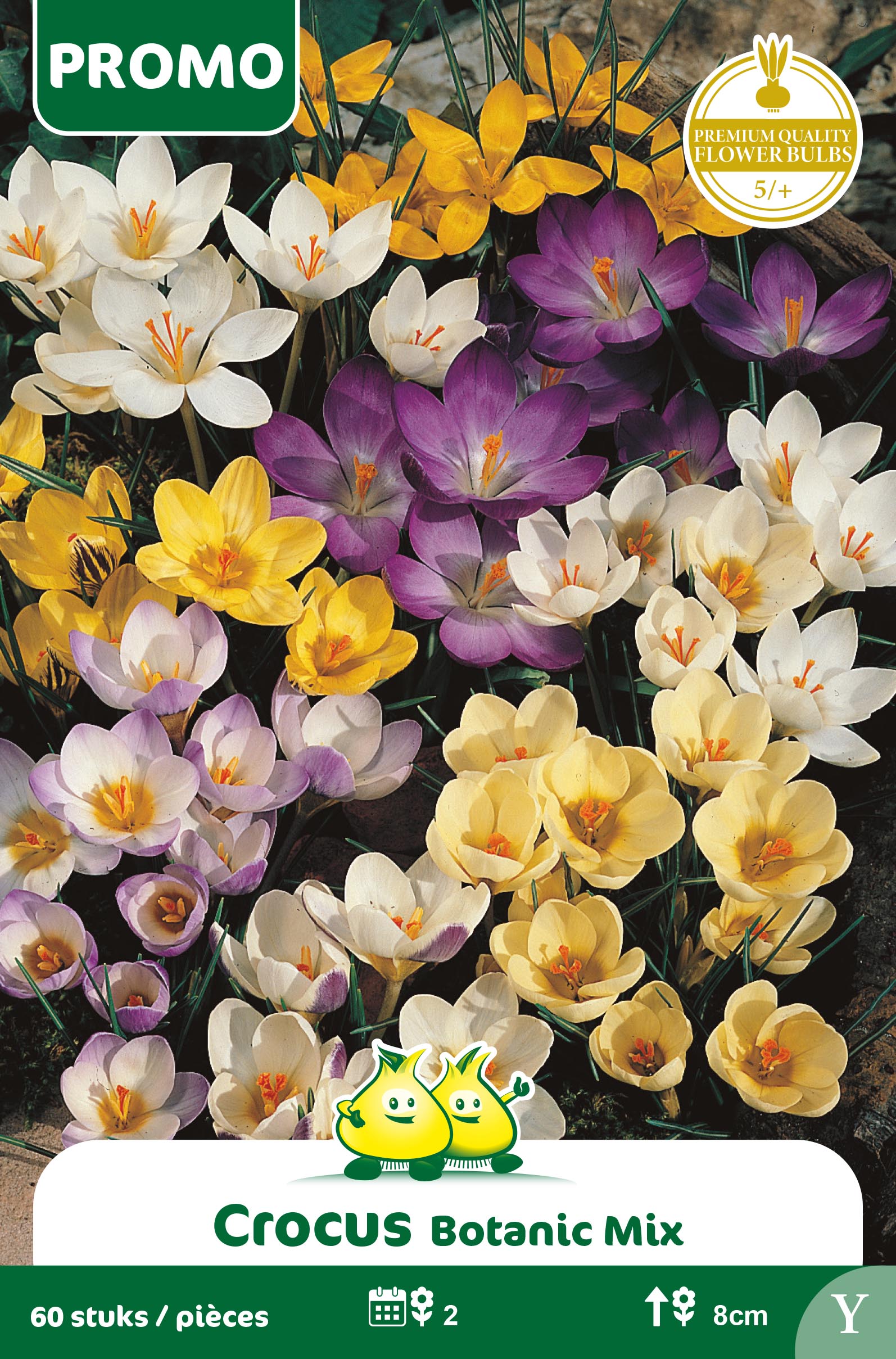 PROMOBOX 25 ZAKJES CROCUS BOTANISCH MIX 60 ST