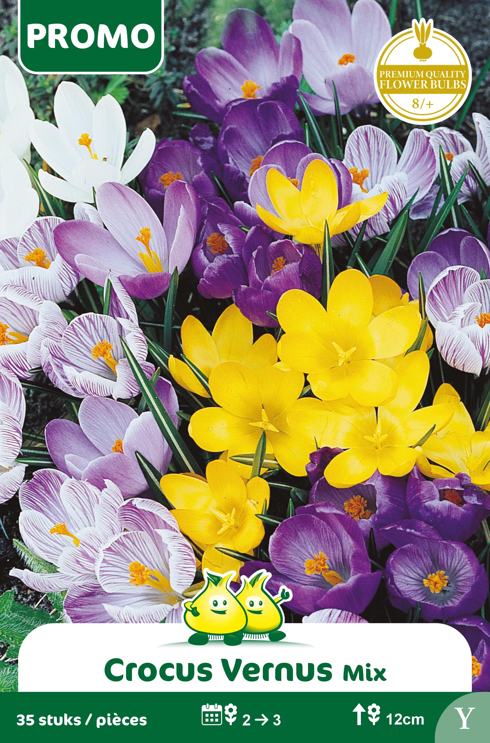 SACHET CROCUS MIX 35 ST  Y