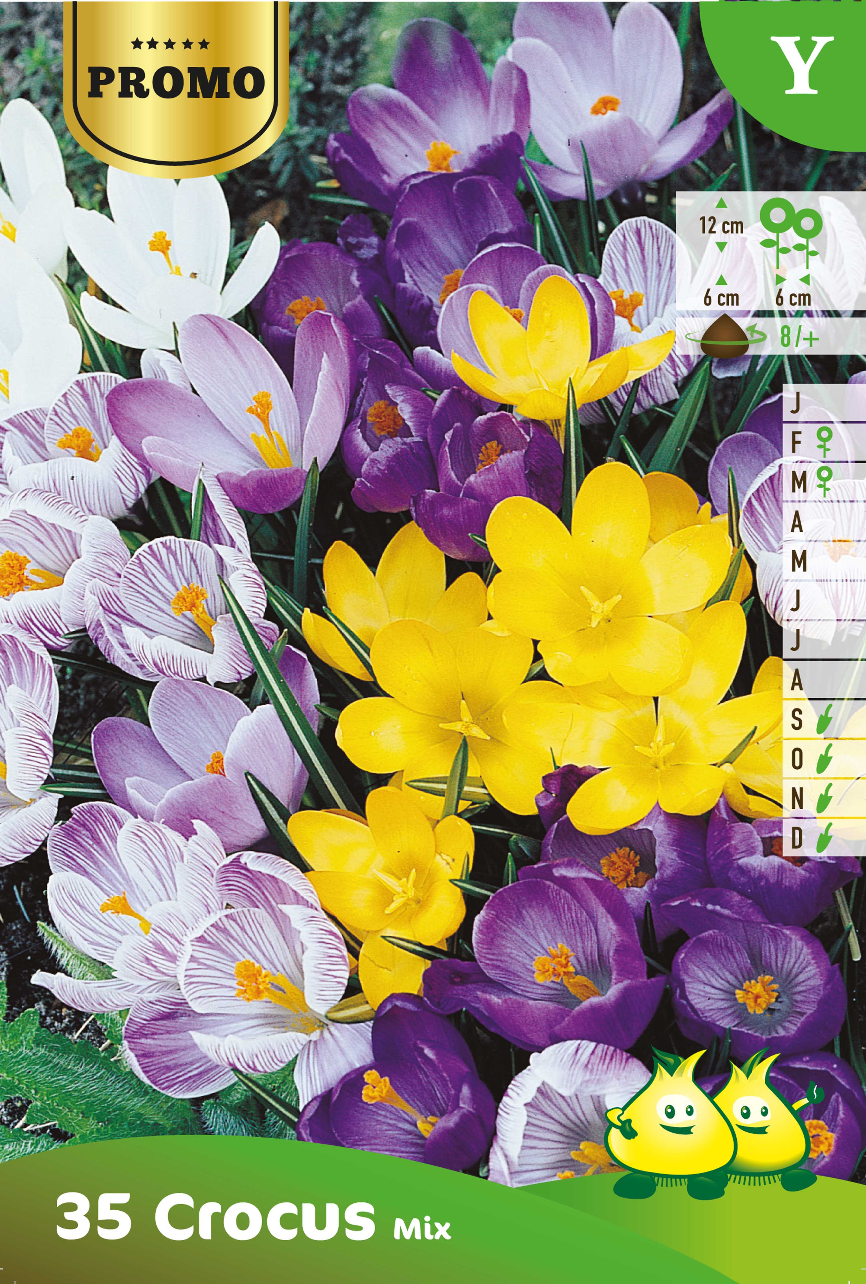 CROCUS MIX 35 ST  Y