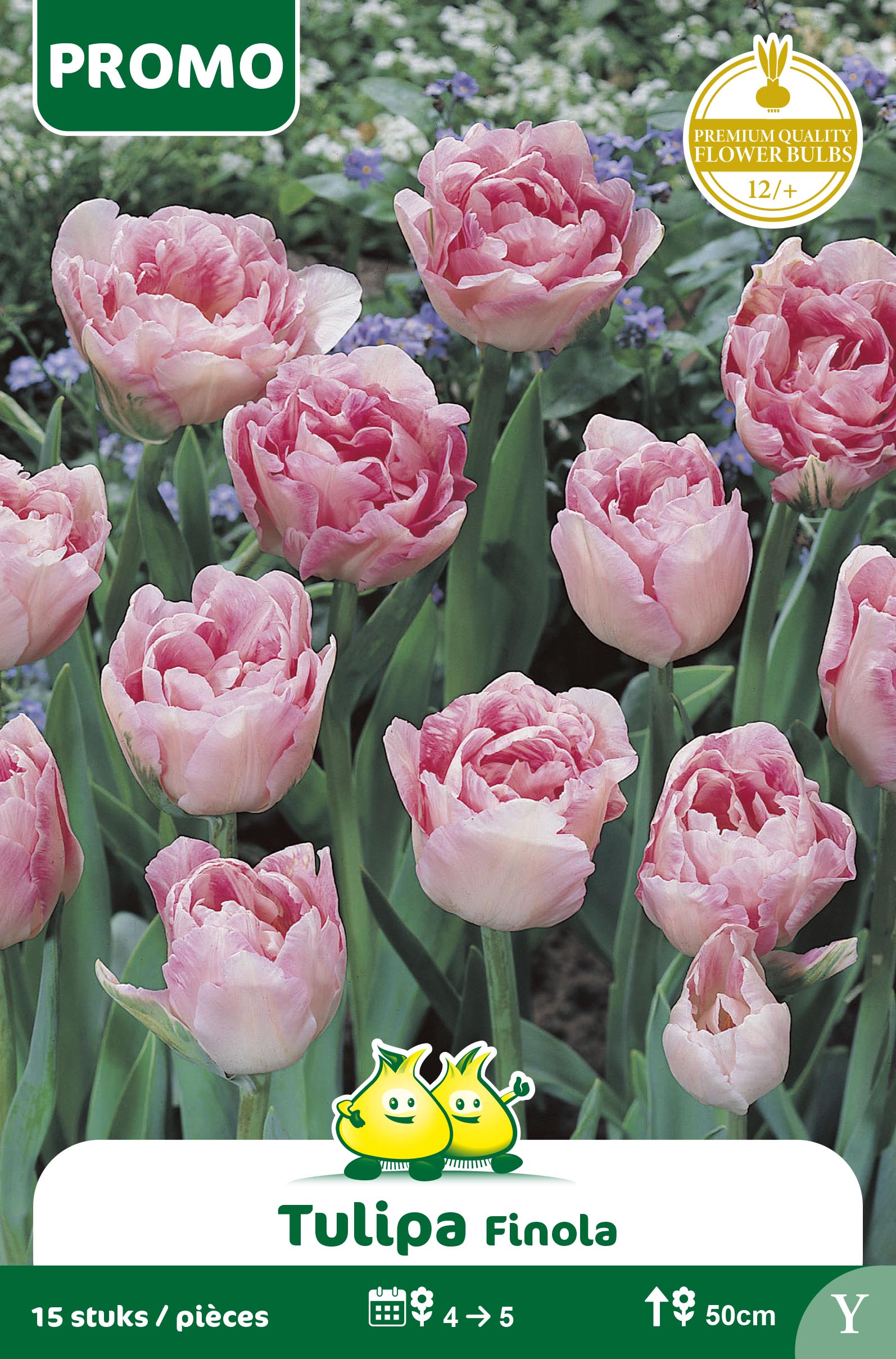 ZAKJES TULPEN FINOLA 15 ST Y