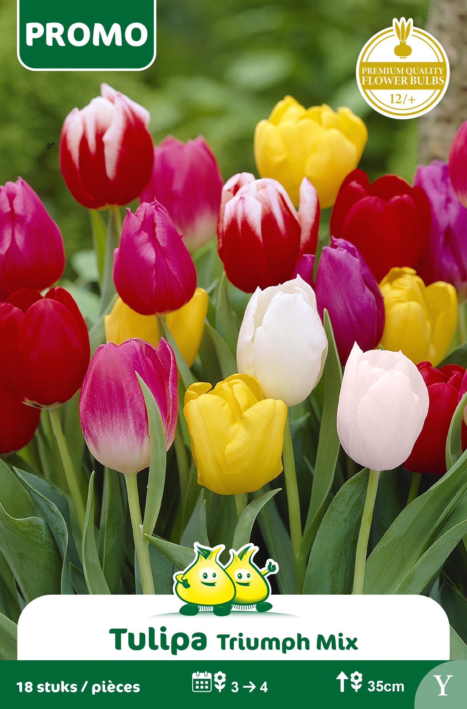 SACHET TULIPE 18 ST MIX Y