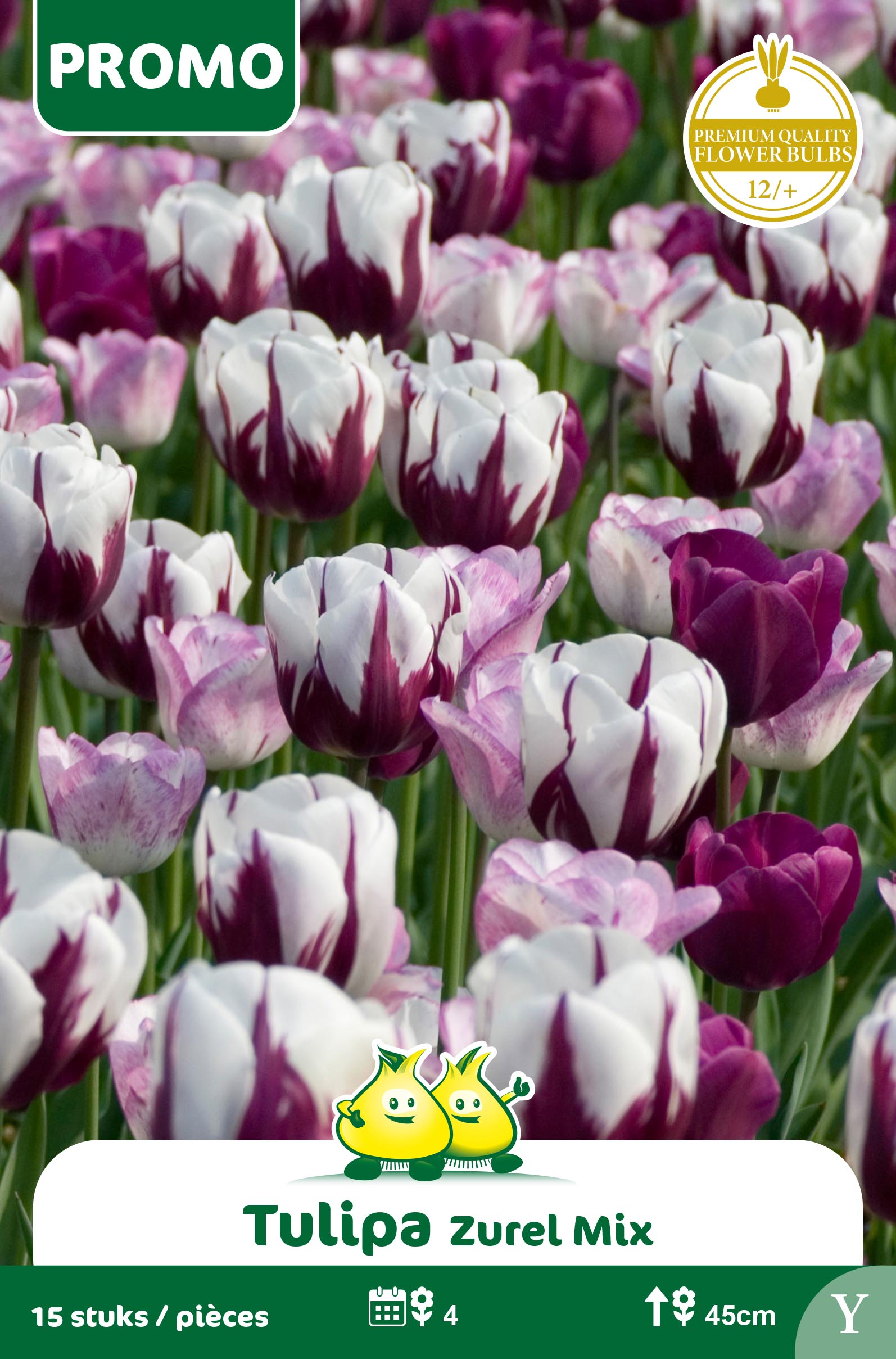 SACHET TULIPE 15 P. ZUREL MIX Y