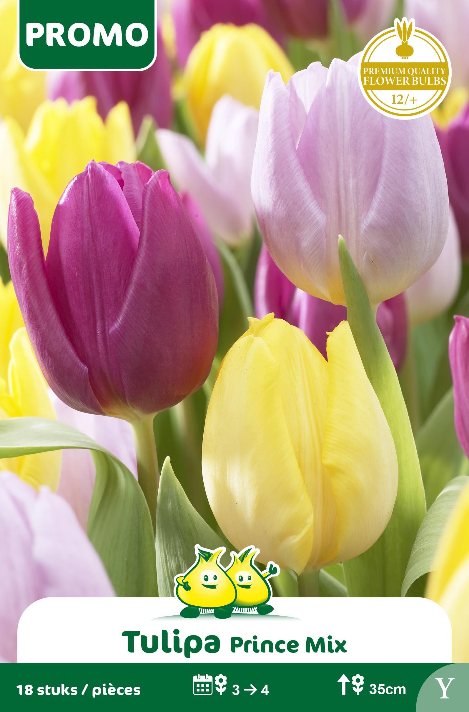 SACHET TULIPE PRINCE MIX  18p Y