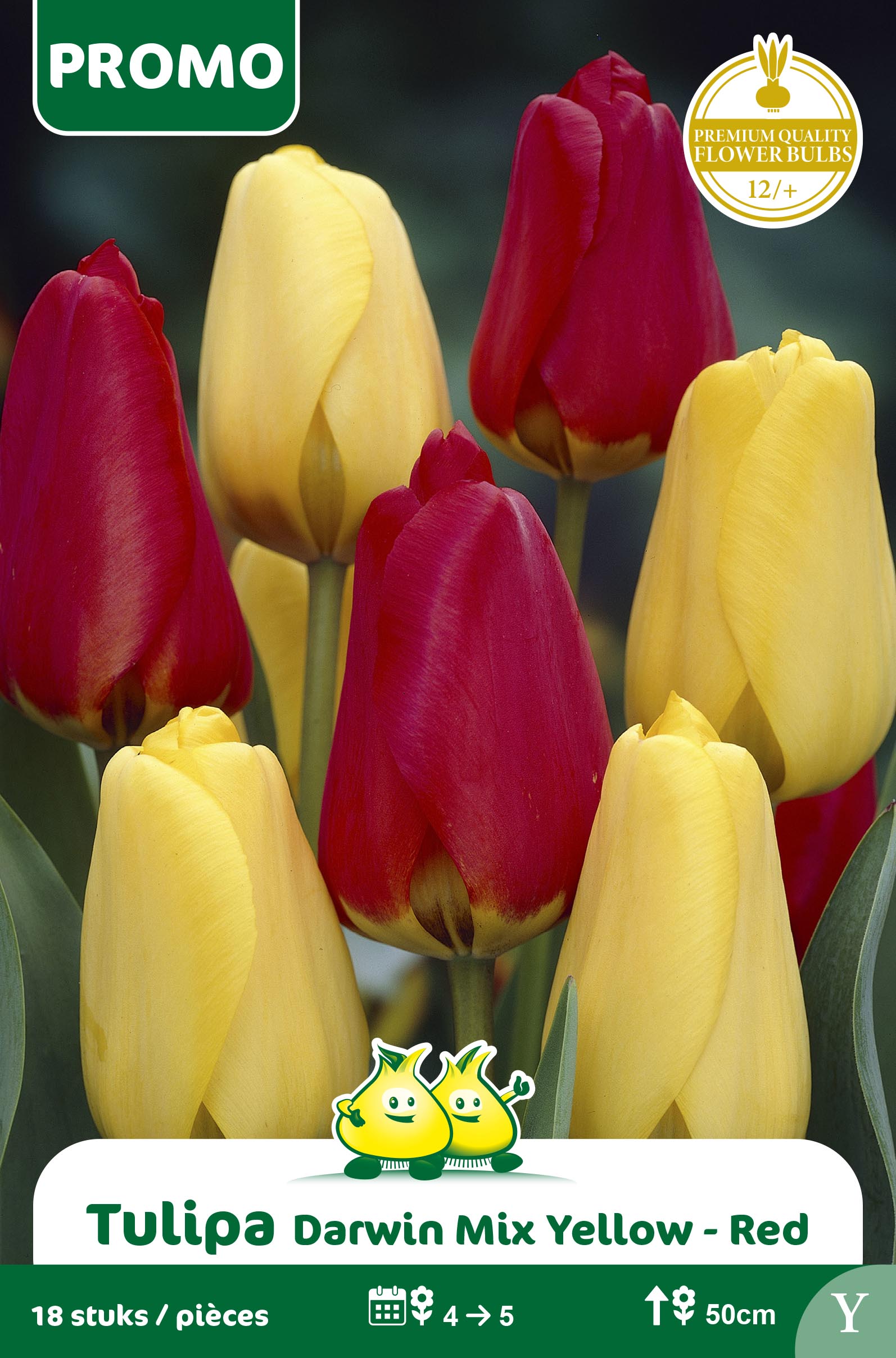 ZAKJES TULPEN 25 ST DARWIN MIX ROOD - GEEL