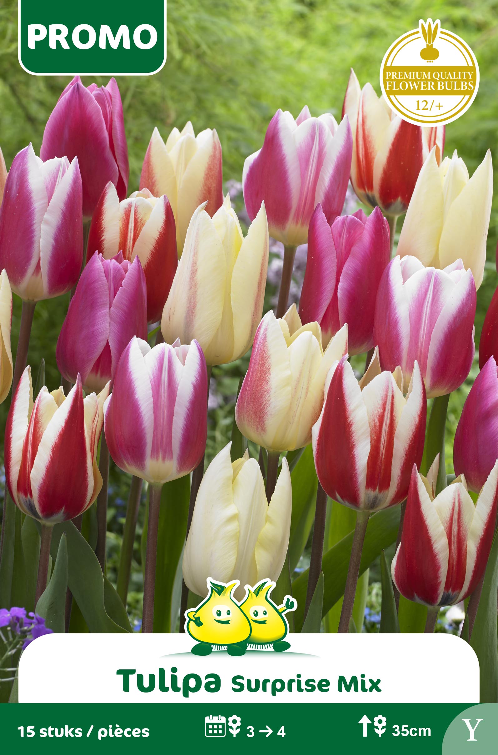 SACHET TULIPES 22 ST SUPRISE MIX