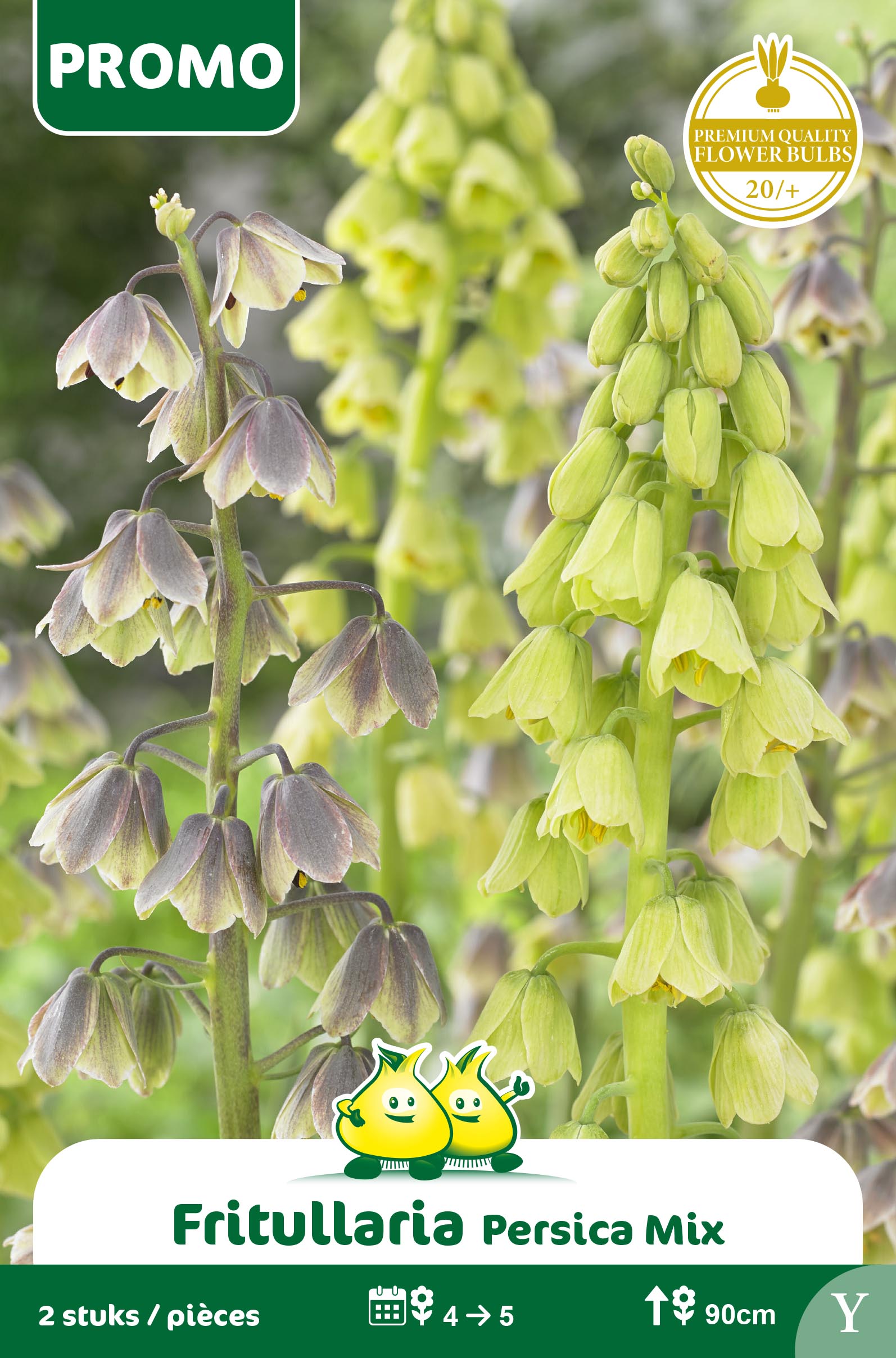 SACHET FRITULLARIA 2 ST PERSICA MIX