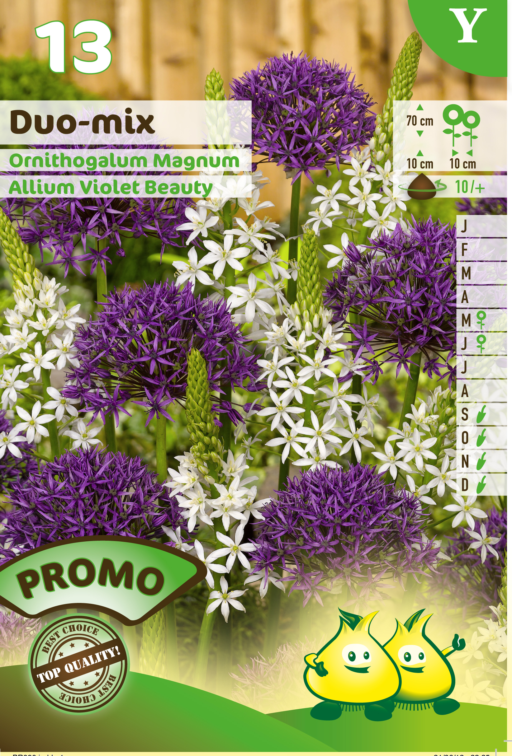 PROMOBOX 30 ZAKJES DUO ALLIUM + ORNITHOGALUM