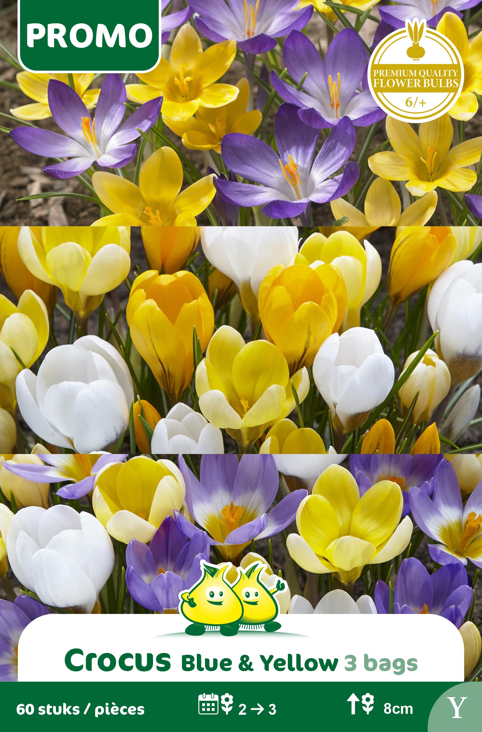 PROMOBOX 3*10 ZAKJES 60 BOT. CROCUS (3 soorten)