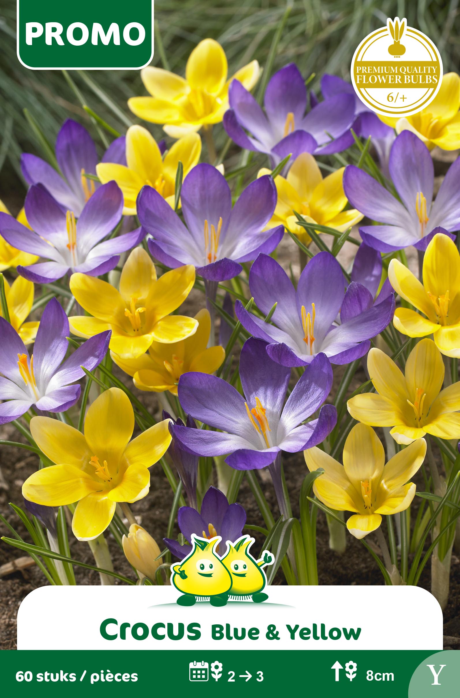 SACHET CROCUS 60 P JAUNE BLEU BOTANIQUE - kopie - kopie