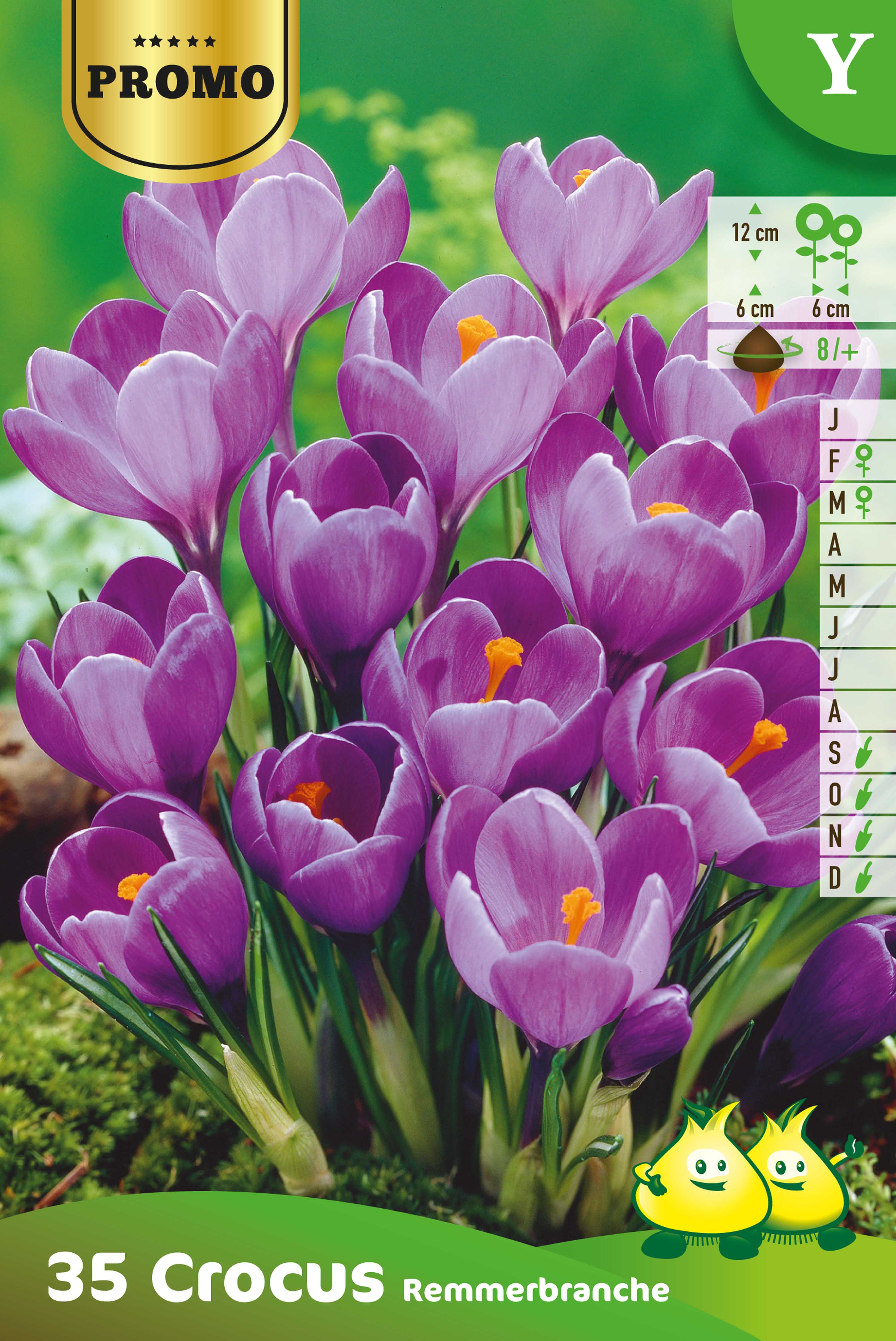 ZAKJES CROCUS 35 ST REMMERBRANCHE