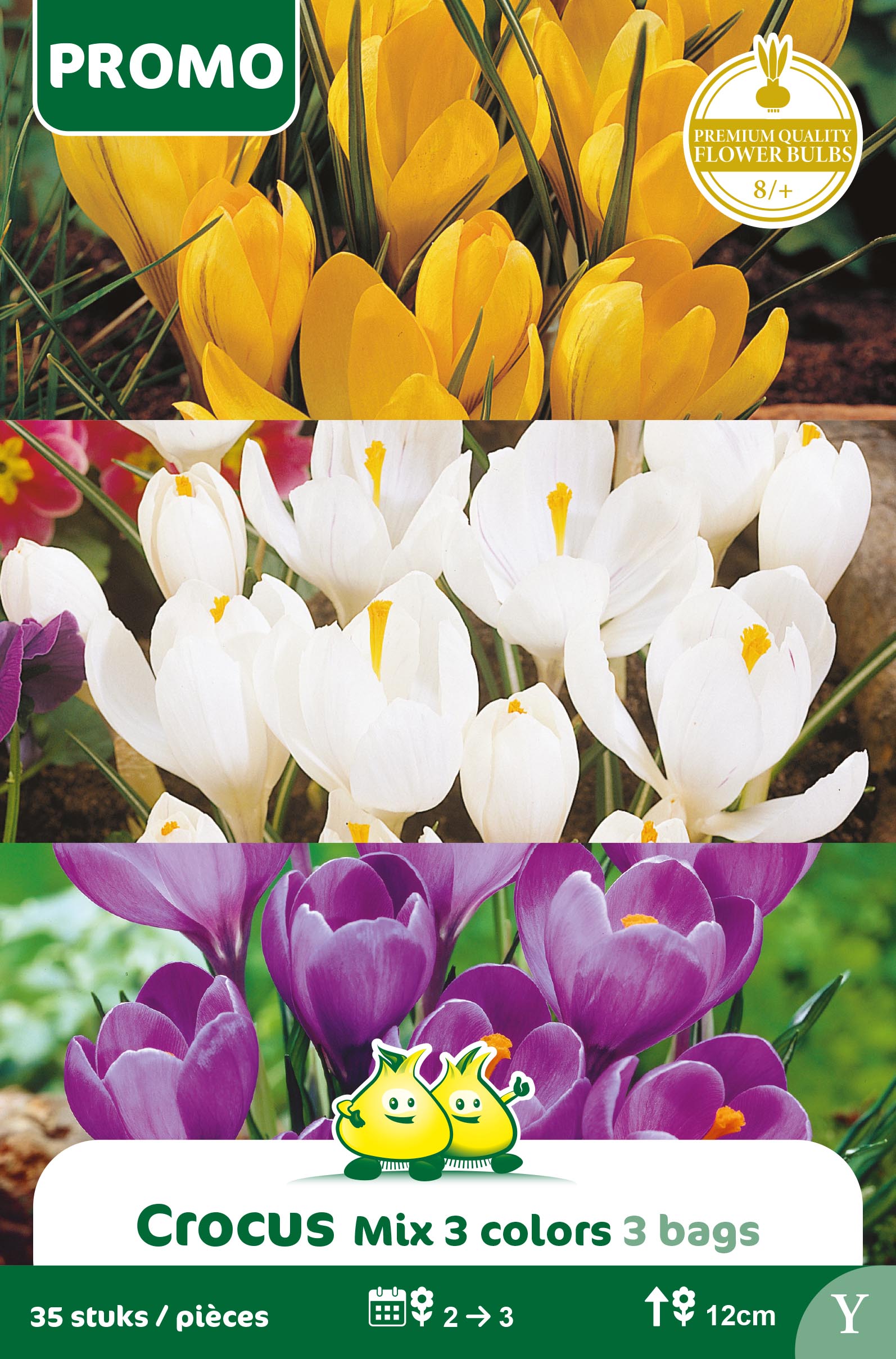 PROMOBOX 3*10 SACHETS CROCUS 35 ST (3 sortes)