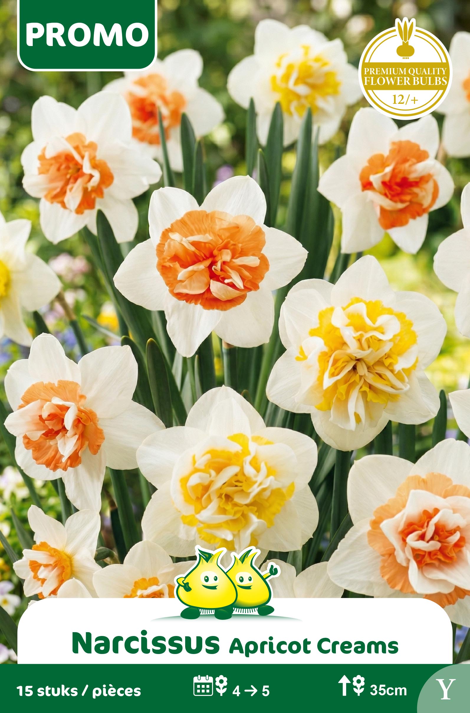 PROMOBOX 15 SACHET NARCIS APRICOT CREAM 15 P