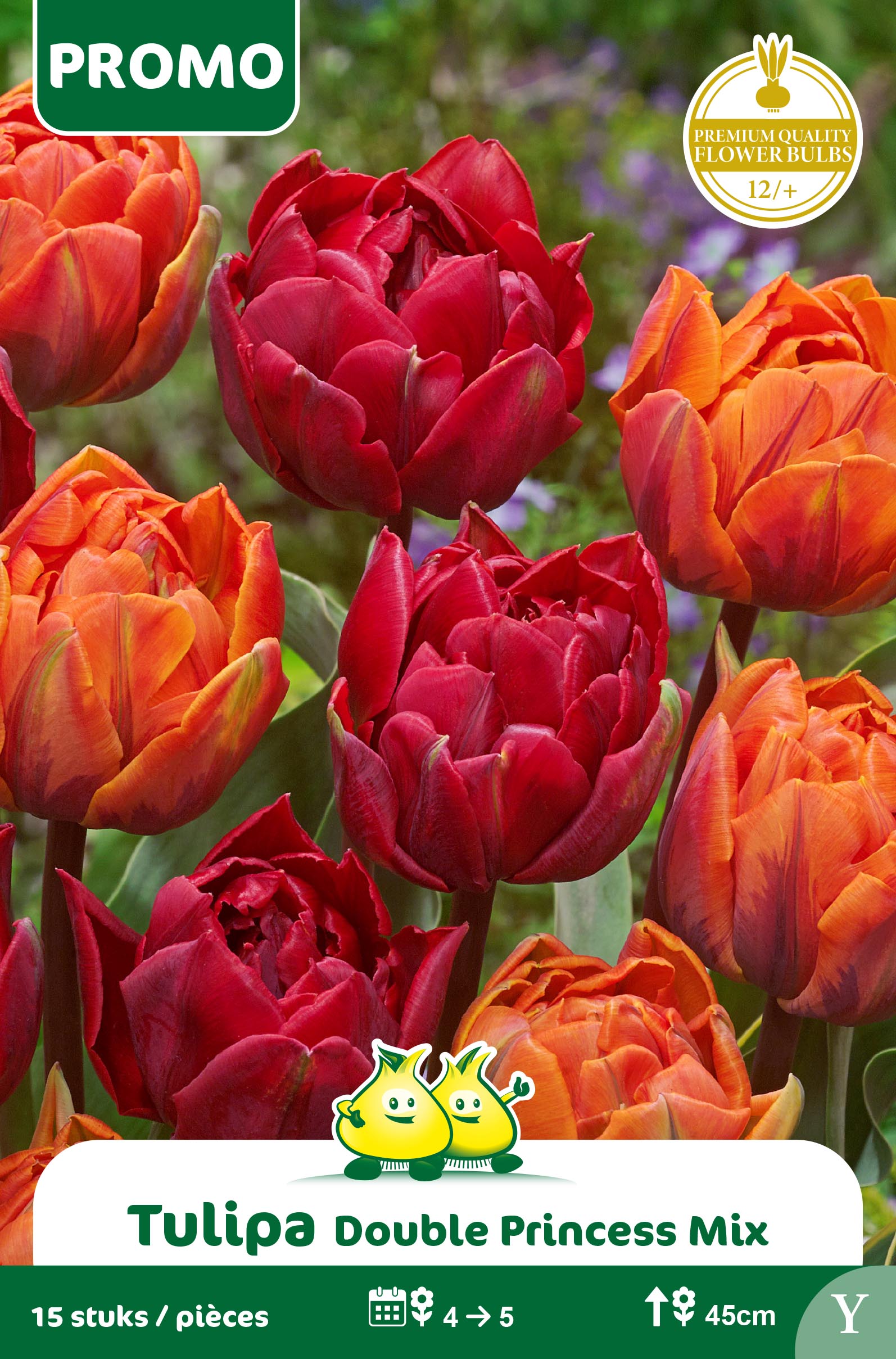 PROMOBOX 25 SACHET DOUBLE PRINCESS MIX 15 P