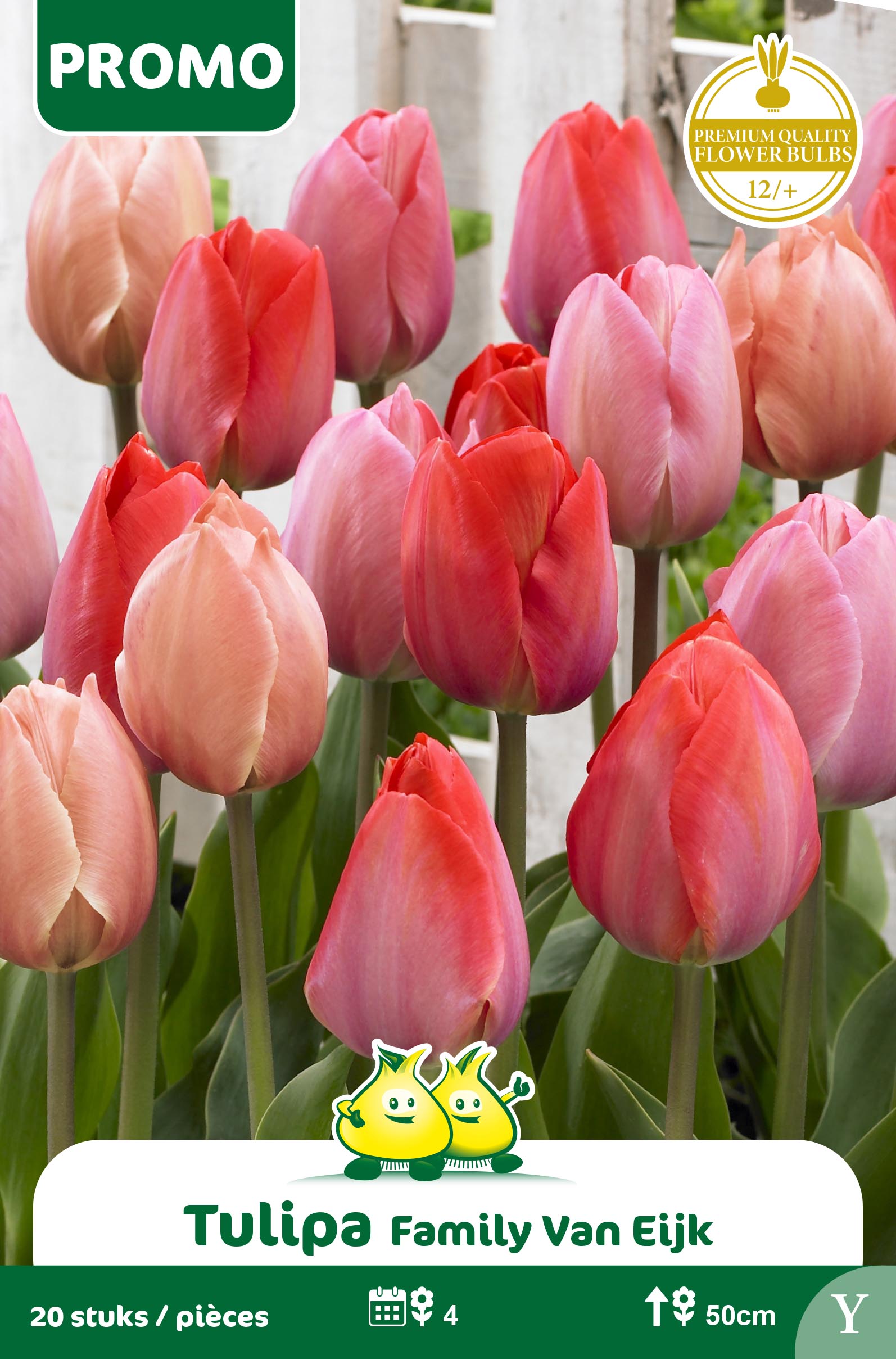 ZAKJES TULPEN 20 ST VAN EIJK MIX Y