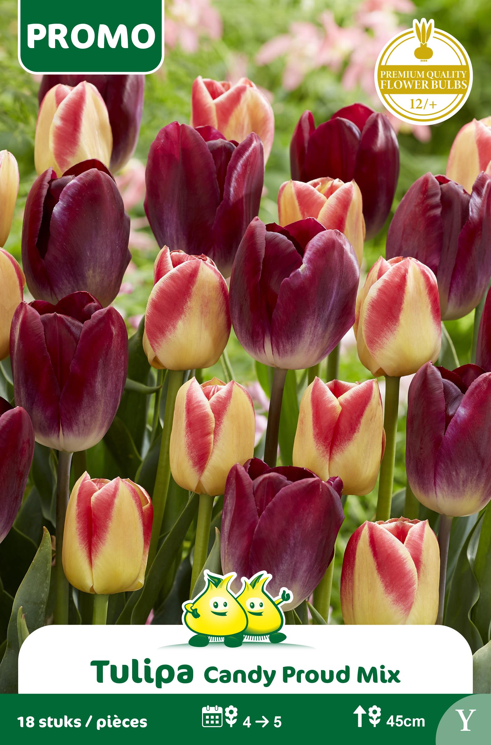 PROMOBOX 25 ZAKJES TULPEN 18 ST CANDY PROUD MIX