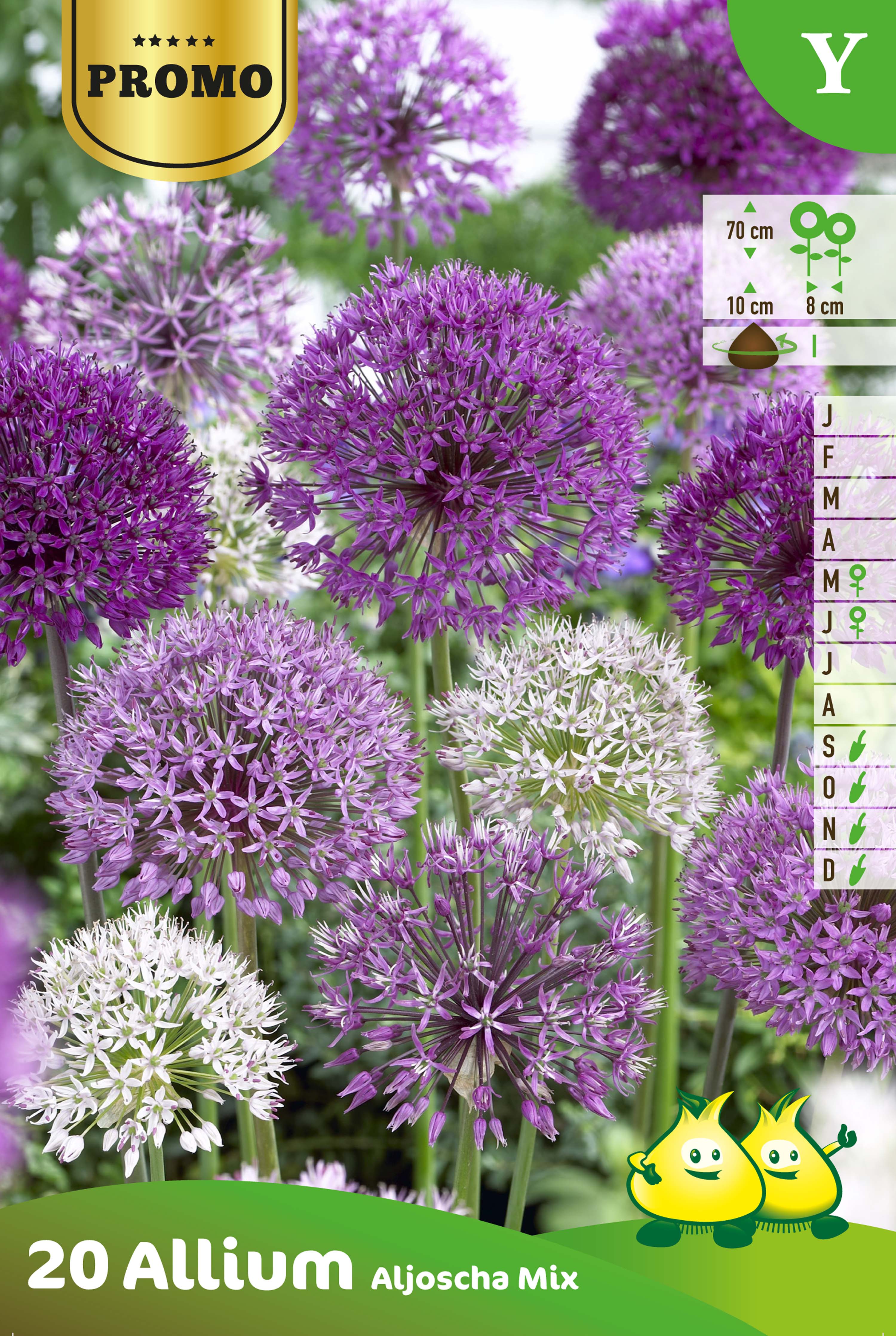 PROMOBOX 25 SACHETS ALLIUM 20 p. ALJOSCHA MIX