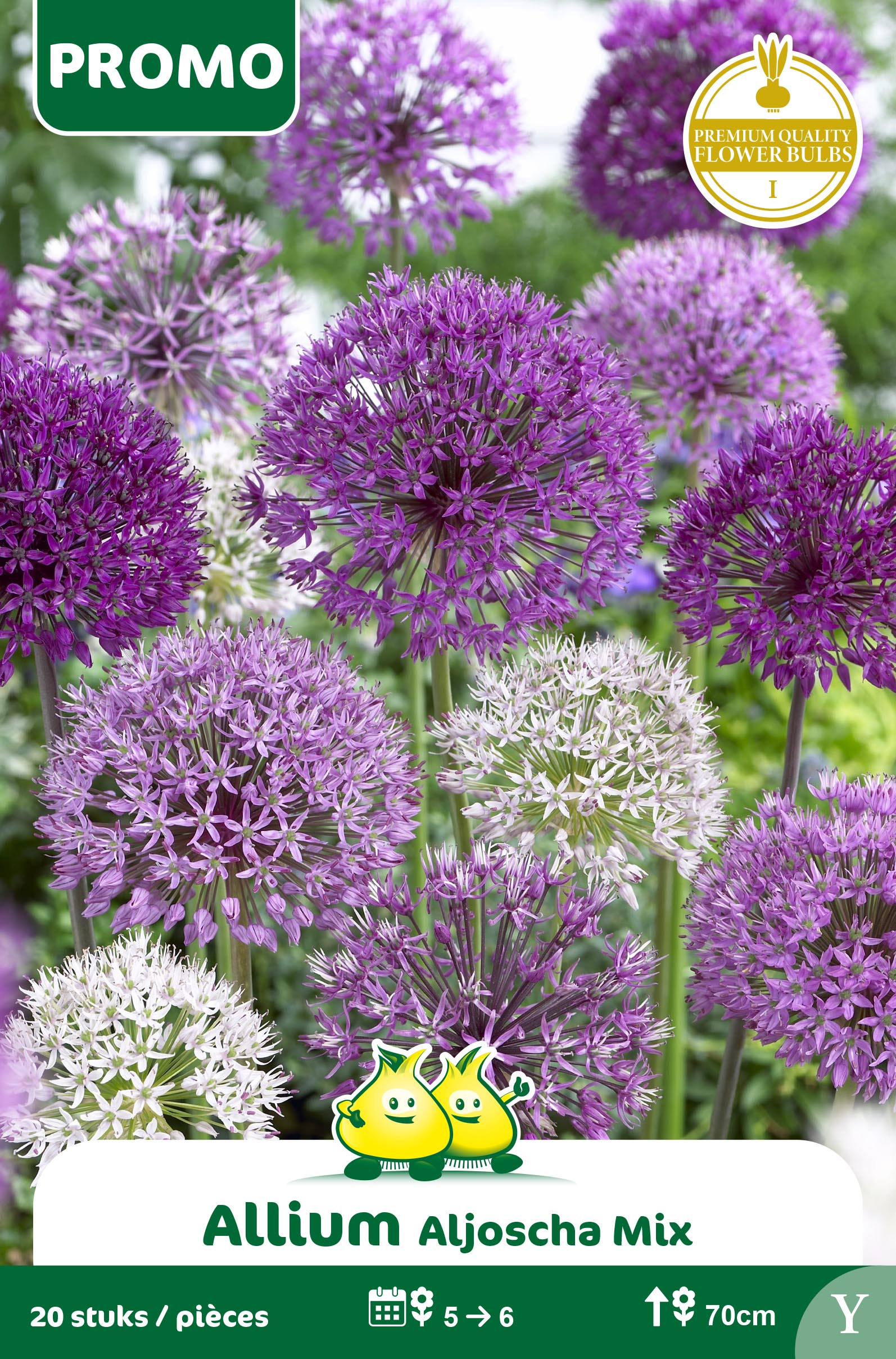 ZAKJES ALLIUM ALJOSCHA MIX 20st